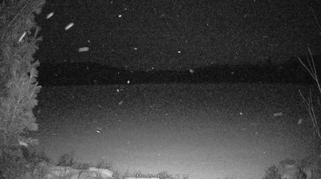 Image from 2025-01-17
