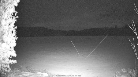 Image from 2025-01-18