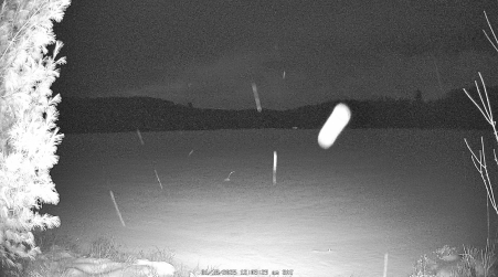 Image from 2025-01-18
