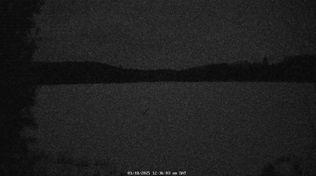 Image from 2025-01-18