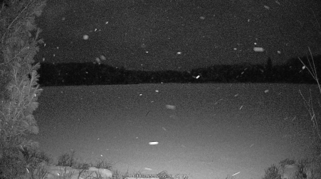 Image from 2025-01-18
