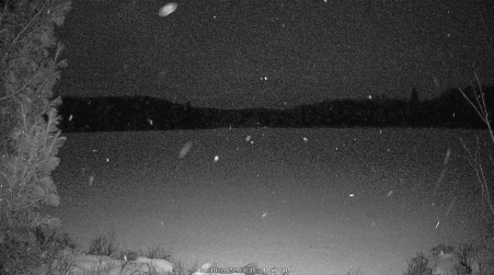 Image from 2025-01-18