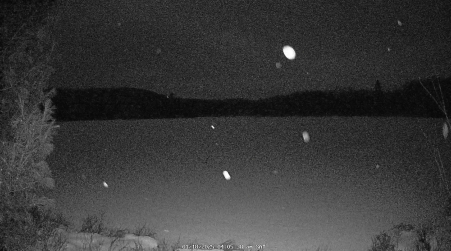 Image from 2025-01-18