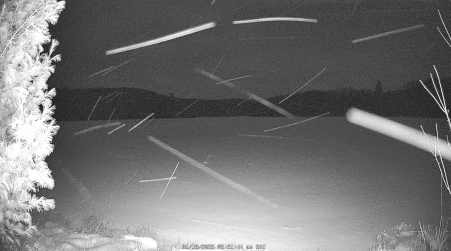 Image from 2025-01-18