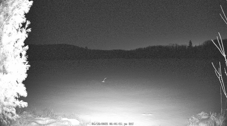 Image from 2025-01-18