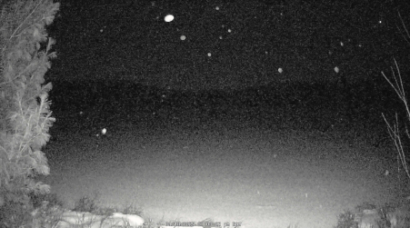 Image from 2025-01-18