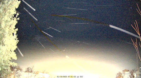 Image from 2025-01-18