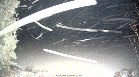 Image from 2025-01-18