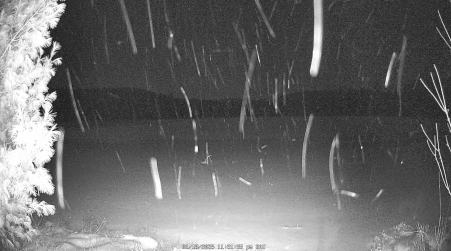 Image from 2025-01-18