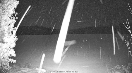 Image from 2025-01-19
