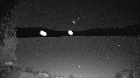 Image from 2025-01-19