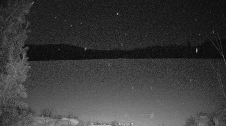 Image from 2025-01-19