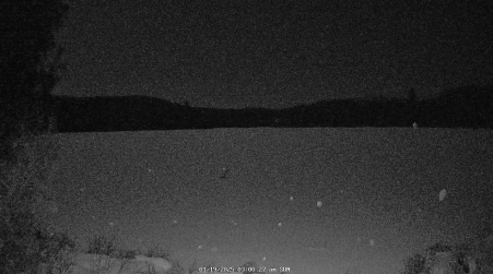 Image from 2025-01-19