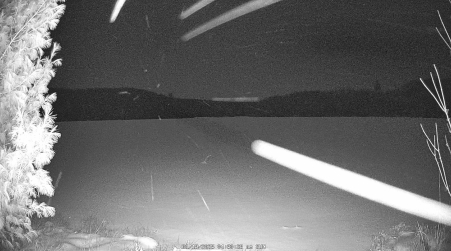 Image from 2025-01-19