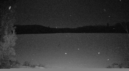 Image from 2025-01-19