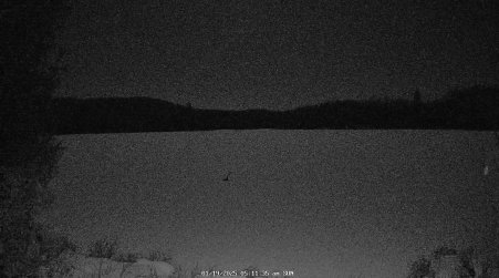 Image from 2025-01-19