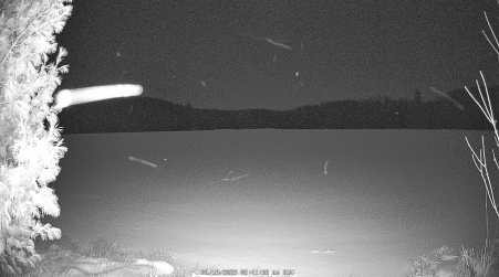Image from 2025-01-19