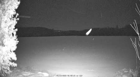 Image from 2025-01-19