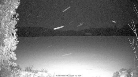 Image from 2025-01-19