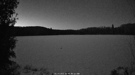 Image from 2025-01-19