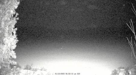 Image from 2025-01-19