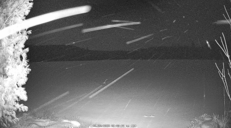 Image from 2025-01-20