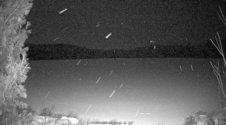 Image from 2025-01-20