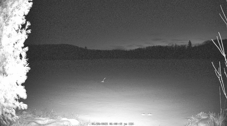 Image from 2025-01-20