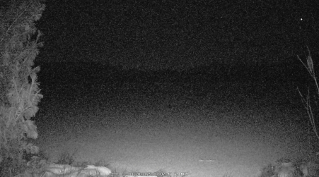 Image from 2025-01-20