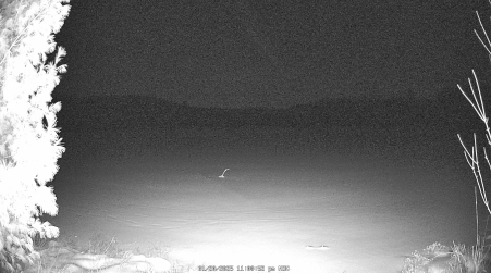 Image from 2025-01-20