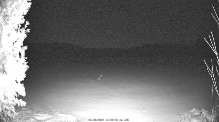 Image from 2025-01-20