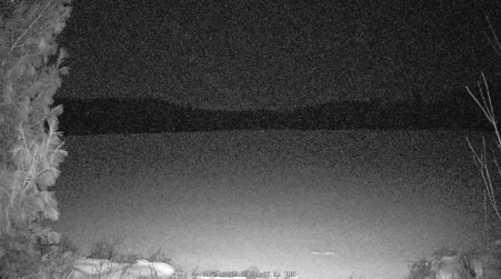 Image from 2025-01-21