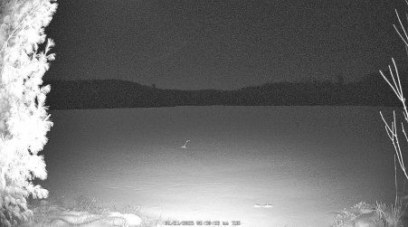 Image from 2025-01-21