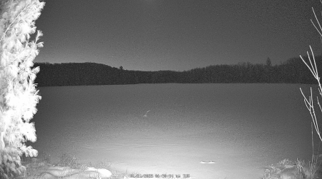 Image from 2025-01-21