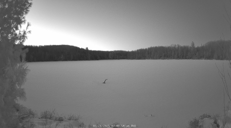 Image from 2025-01-21