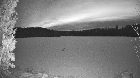 Image from 2025-01-21