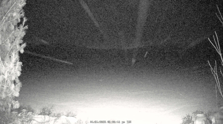 Image from 2025-01-21