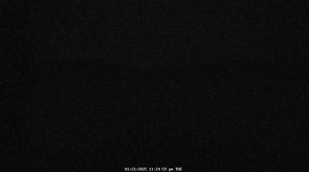 Image from 2025-01-21