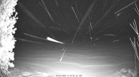 Image from 2025-01-21