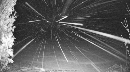 Image from 2025-01-22