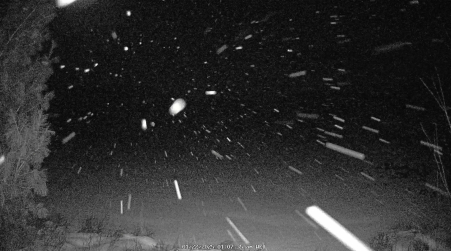Image from 2025-01-22