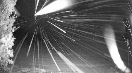 Image from 2025-01-22
