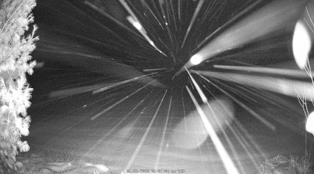 Image from 2025-01-22