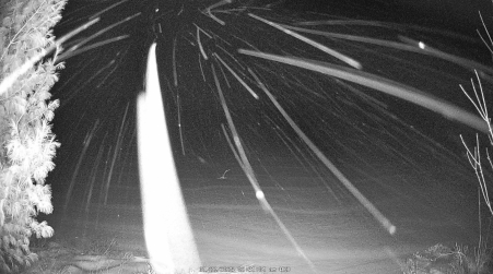 Image from 2025-01-22