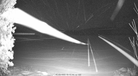 Image from 2025-01-22