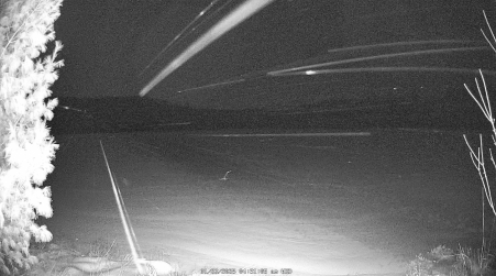 Image from 2025-01-22