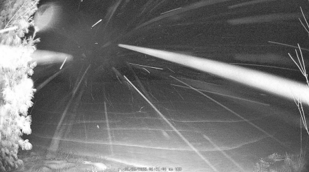 Image from 2025-01-22