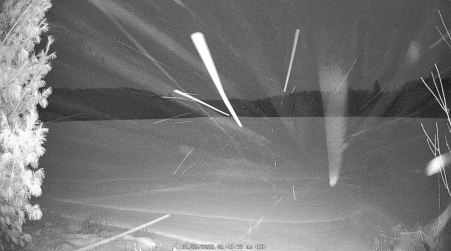 Image from 2025-01-22