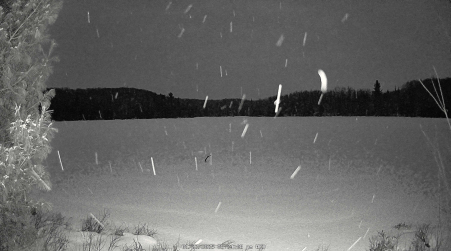 Image from 2025-01-22