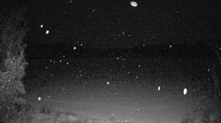 Image from 2025-01-22